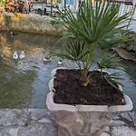 National Monument * Stolac